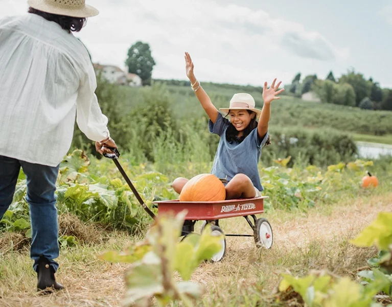 Hình ảnh về Việt Nhật Cần Thơ