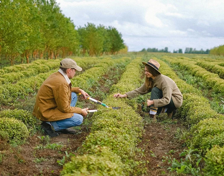Hình ảnh về Việt Nhật Cần Thơ