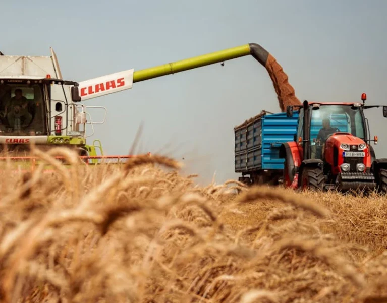 Hình ảnh về Việt Nhật Cần Thơ