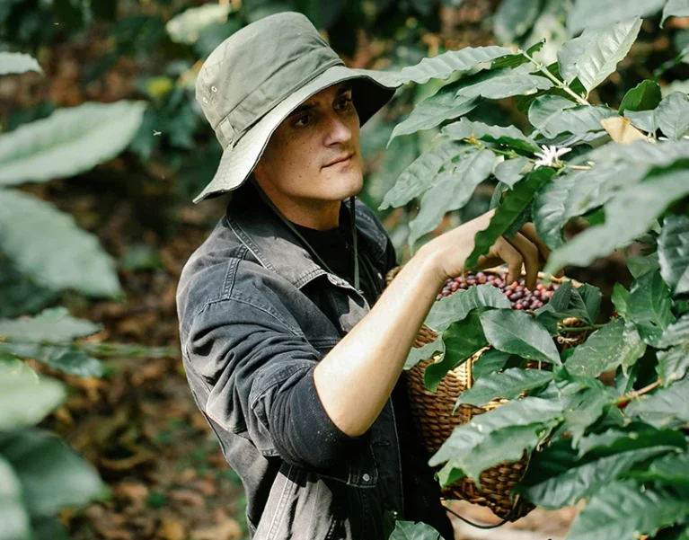 Hình ảnh về Việt Nhật Cần Thơ