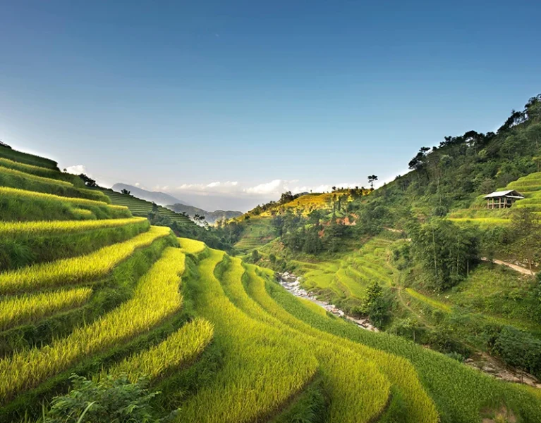 Hình ảnh về Việt Nhật Cần Thơ