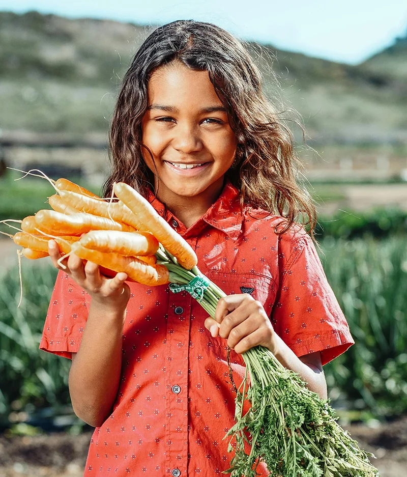 Dịch vụ Việt Nhật Cần Thơ