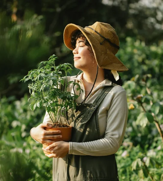 Dịch vụ Việt Nhật Cần Thơ