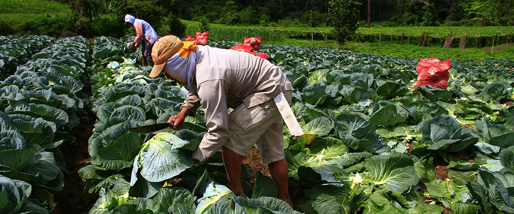 Trang chủ