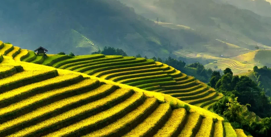 Cung cấp các dòng sản phẩm dinh dưỡng bón lá, phân bón cao cấp, vi lượng chuyên biệt cho từng loại cây trồng, giúp cây hấp thụ nhanh, ra hoa đậu quả tốt và tăng chất lượng nông sản (ngọt, nặng ký).