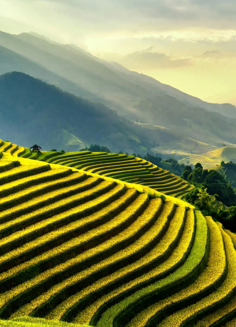 Cung cấp các dòng sản phẩm dinh dưỡng bón lá, phân bón cao cấp, vi lượng chuyên biệt cho từng loại cây trồng, giúp cây hấp thụ nhanh, ra hoa đậu quả tốt và tăng chất lượng nông sản (ngọt, nặng ký).