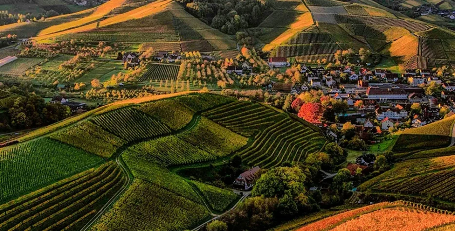 Cung cấp các giải pháp phân bón gốc và sản phẩm chuyên biệt nhằm tái tạo, cải tạo cấu trúc đất, tăng cường vi sinh vật có lợi, giúp đất tơi xốp, giàu dinh dưỡng và chống thoái hóa.