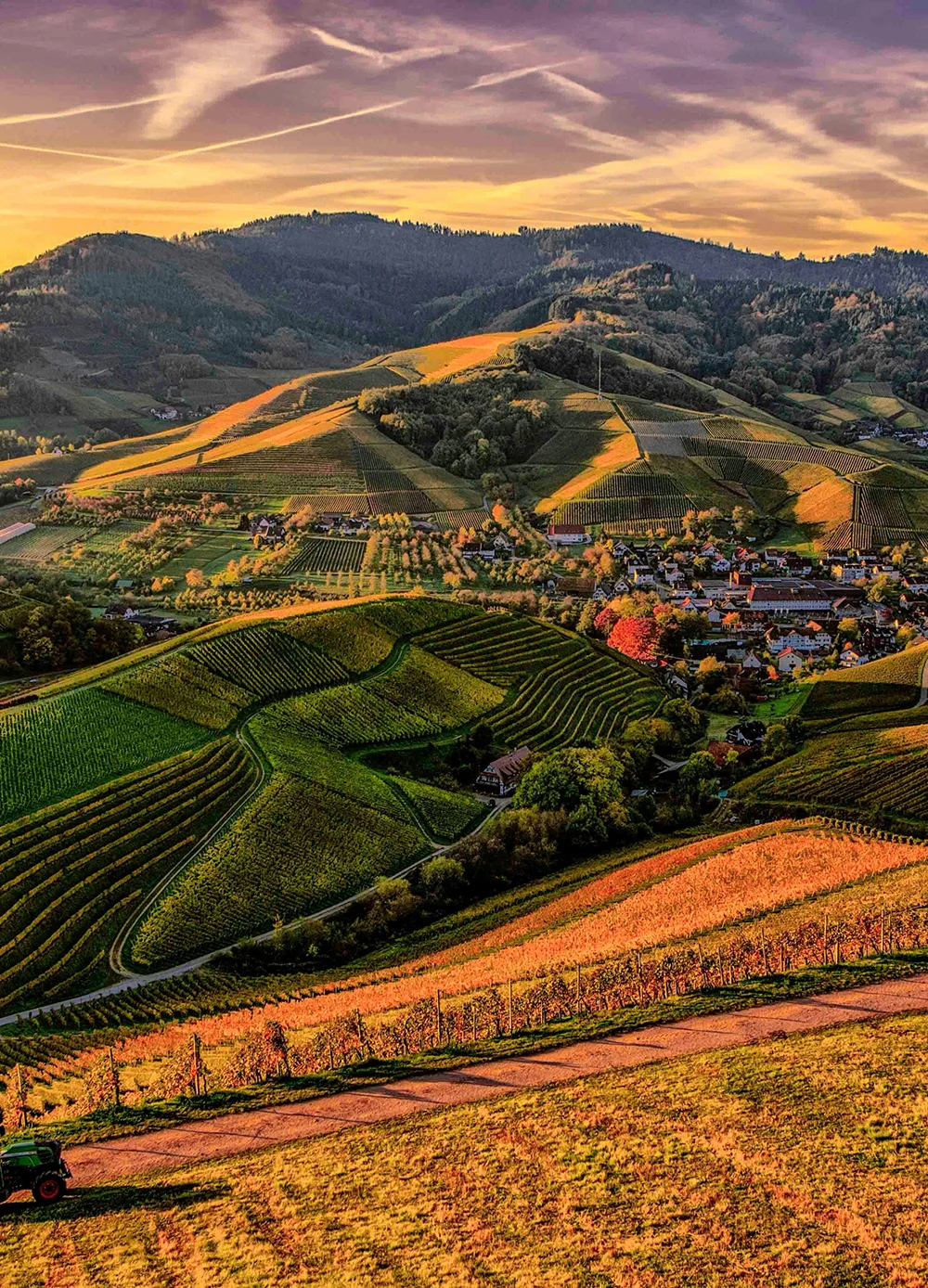 Cung cấp các giải pháp phân bón gốc và sản phẩm chuyên biệt nhằm tái tạo, cải tạo cấu trúc đất, tăng cường vi sinh vật có lợi, giúp đất tơi xốp, giàu dinh dưỡng và chống thoái hóa.