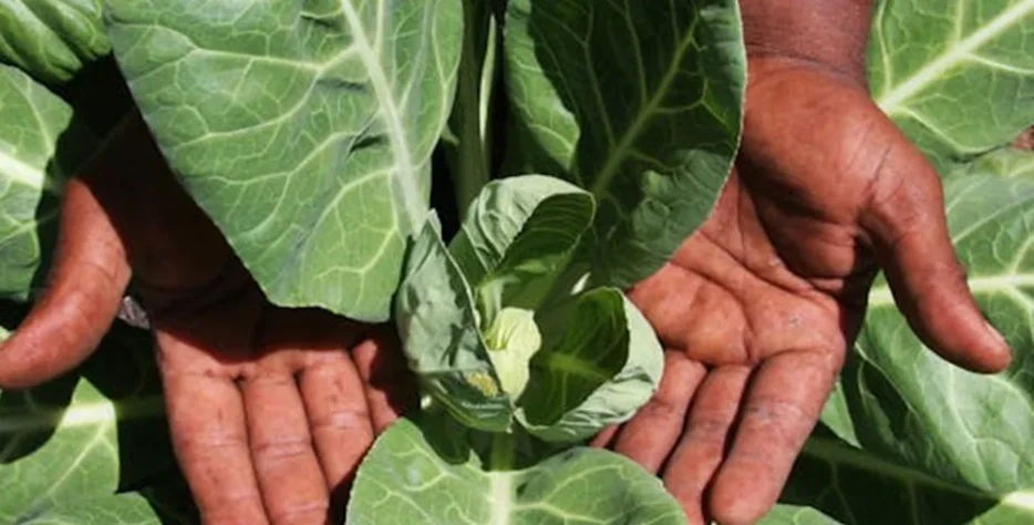 Tích hợp các sản phẩm ứng dụng công nghệ Nano hiện đại, giúp hoạt chất được hấp thu tối đa, tăng cường hiệu quả phòng vệ và dinh dưỡng, tiết kiệm chi phí cho bà con nông dân.