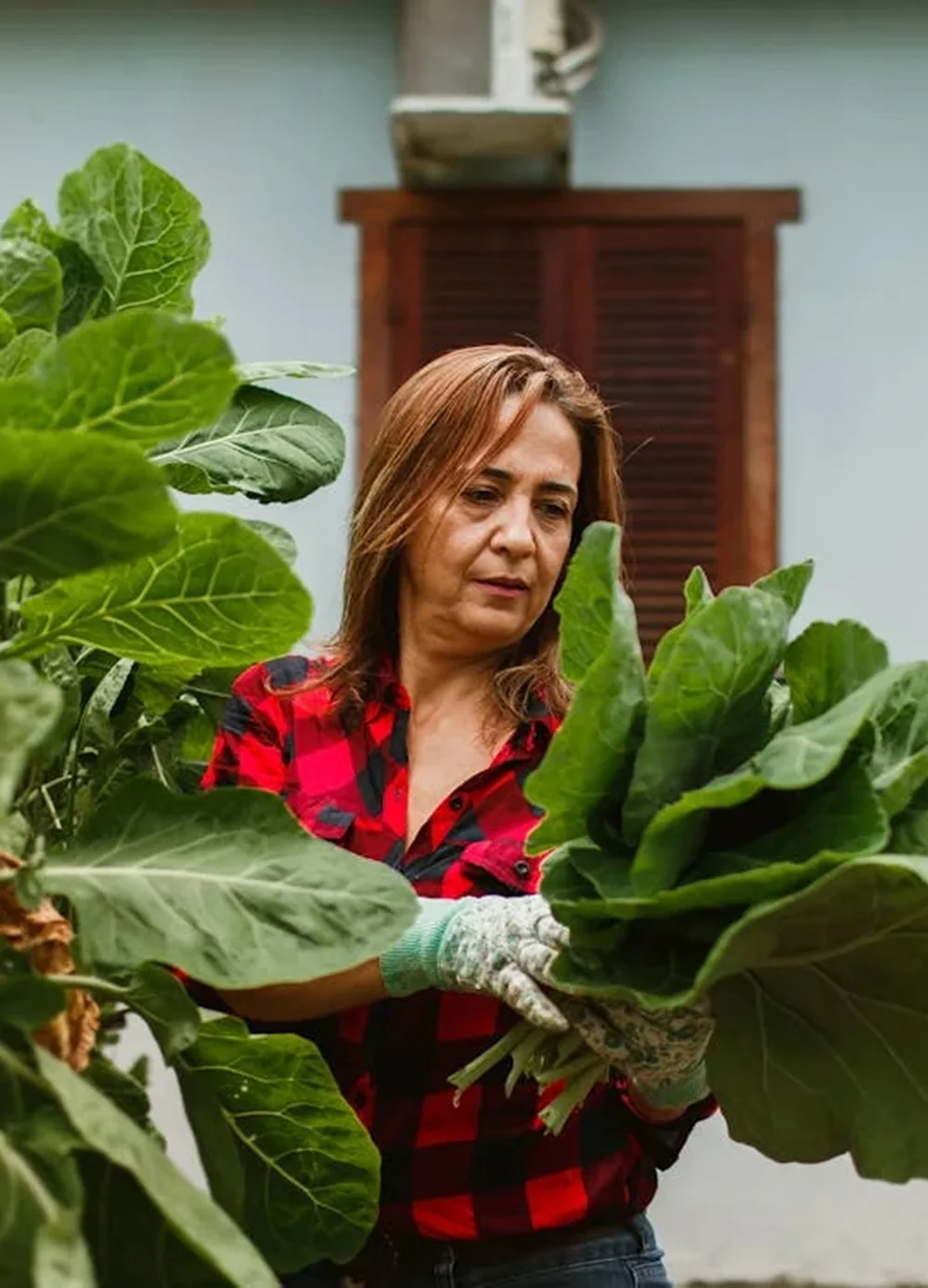 Triển khai các nền tảng/ứng dụng thông minh để hỗ trợ nông dân theo dõi tình trạng cây trồng, chẩn đoán bệnh, nhận tư vấn kỹ thuật và đặt hàng một cách đơn giản, tiện lợi.