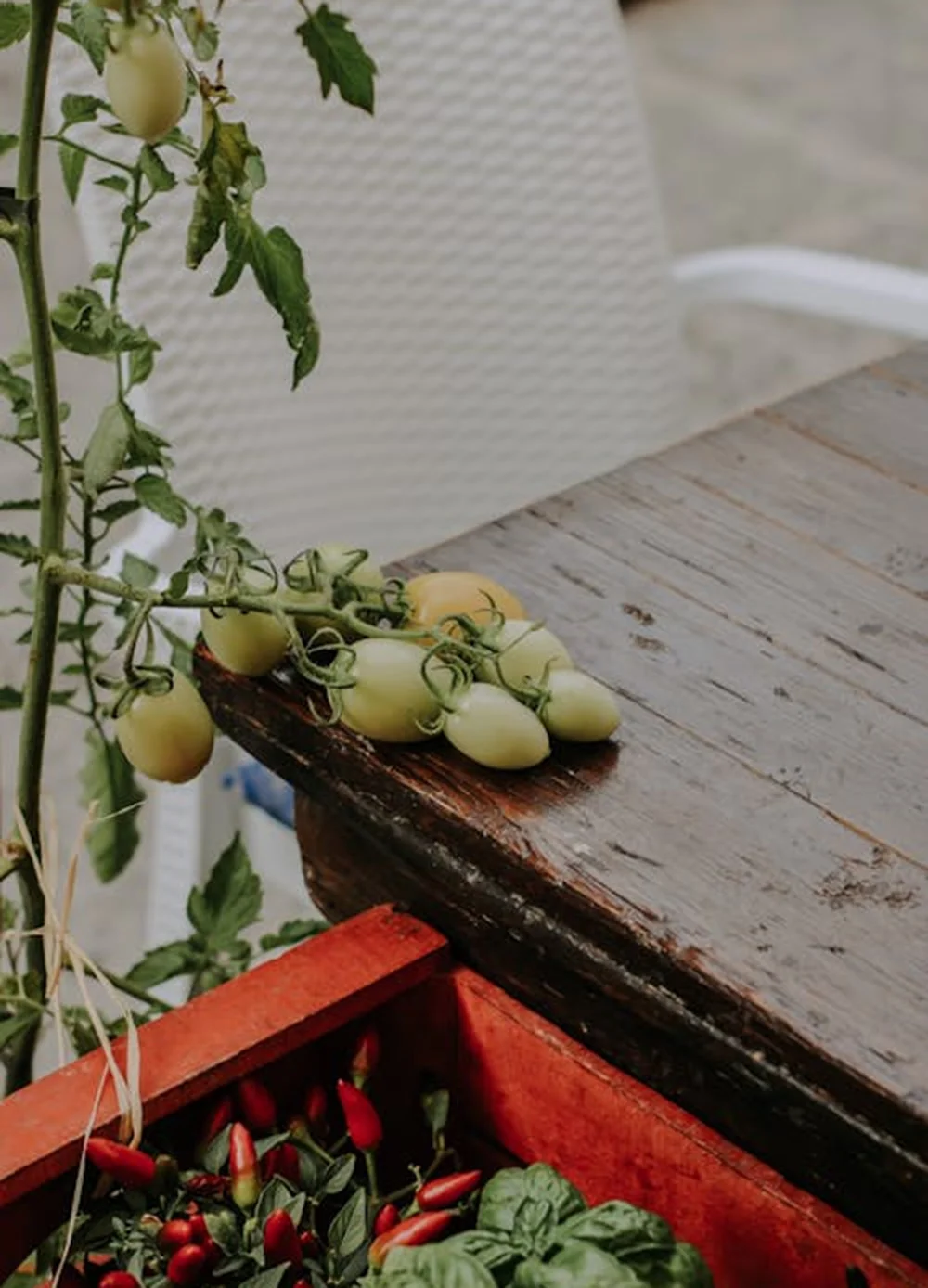 Tổ chức các khóa tập huấn, đào tạo kiến thức chuyên môn về sản phẩm và kỹ thuật canh tác mới cho đội ngũ đại lý. Xây dựng chính sách hợp tác minh bạch, bền vững nhằm mở rộng mạng lưới phân phối trên toàn quốc.