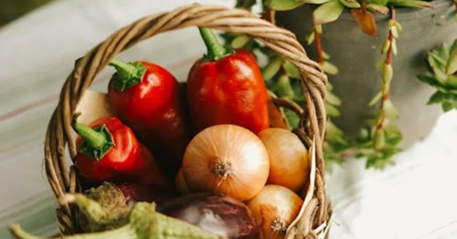 Cung cấp các chế phẩm sinh học chuyên dùng để xử lý nước ao hồ, chất thải, và kiểm soát mùi hôi trong môi trường chăn nuôi hoặc canh tác, đảm bảo điều kiện môi trường sạch cho cây trồng và sức khỏe cộng đồng.