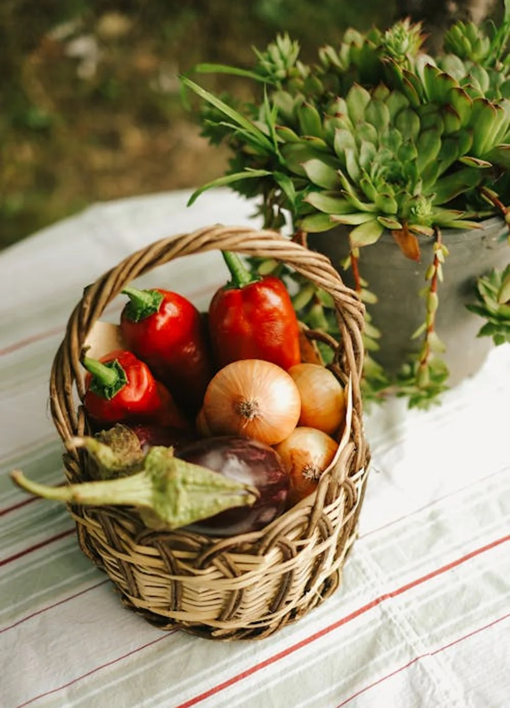 Cung cấp các chế phẩm sinh học chuyên dùng để xử lý nước ao hồ, chất thải, và kiểm soát mùi hôi trong môi trường chăn nuôi hoặc canh tác, đảm bảo điều kiện môi trường sạch cho cây trồng và sức khỏe cộng đồng.