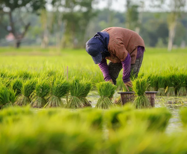 Accelerate innovation with world-class tech teams We’ll match you