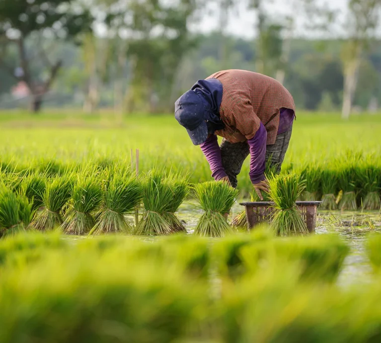 Accelerate innovation with world-class tech teams We’ll match you