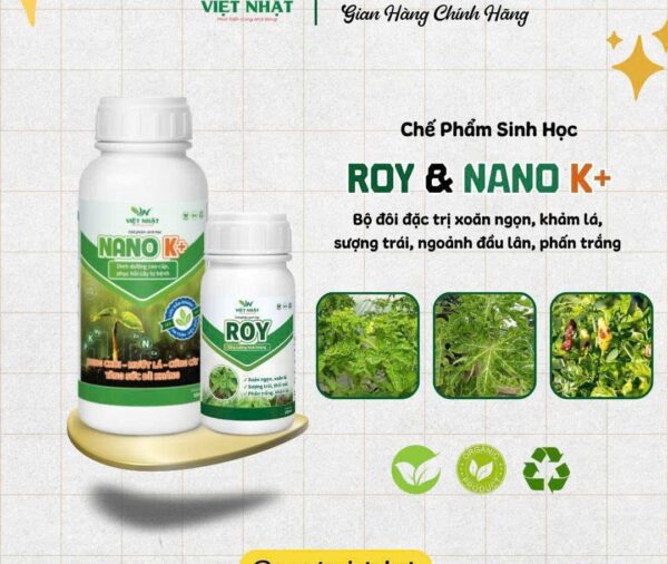 Bộ đôi Roy và NanoK+