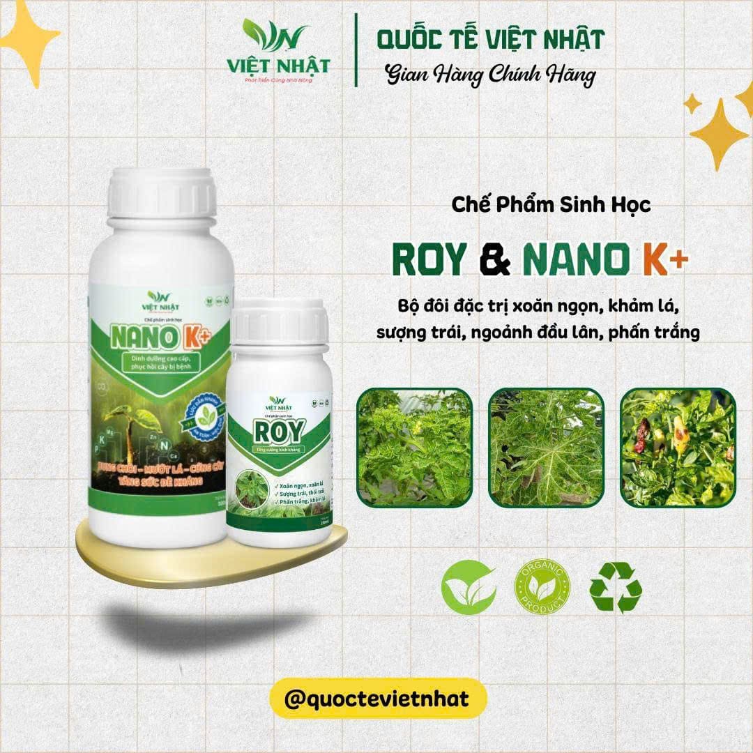 Bộ đôi Roy và NanoK+
