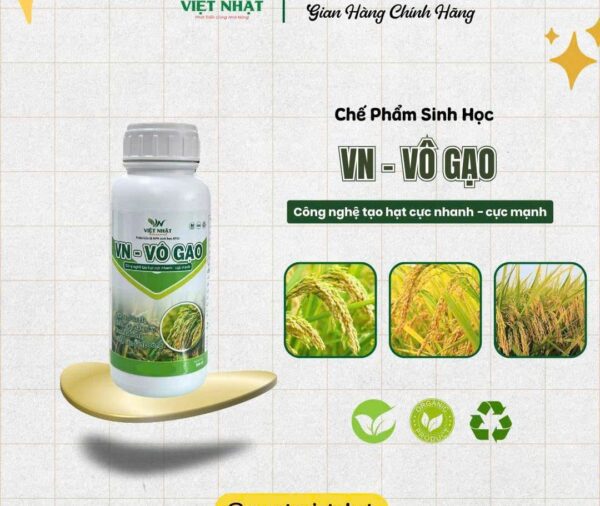 VN – VÔ GẠO sáng hạt, nặng ký, chống nhót