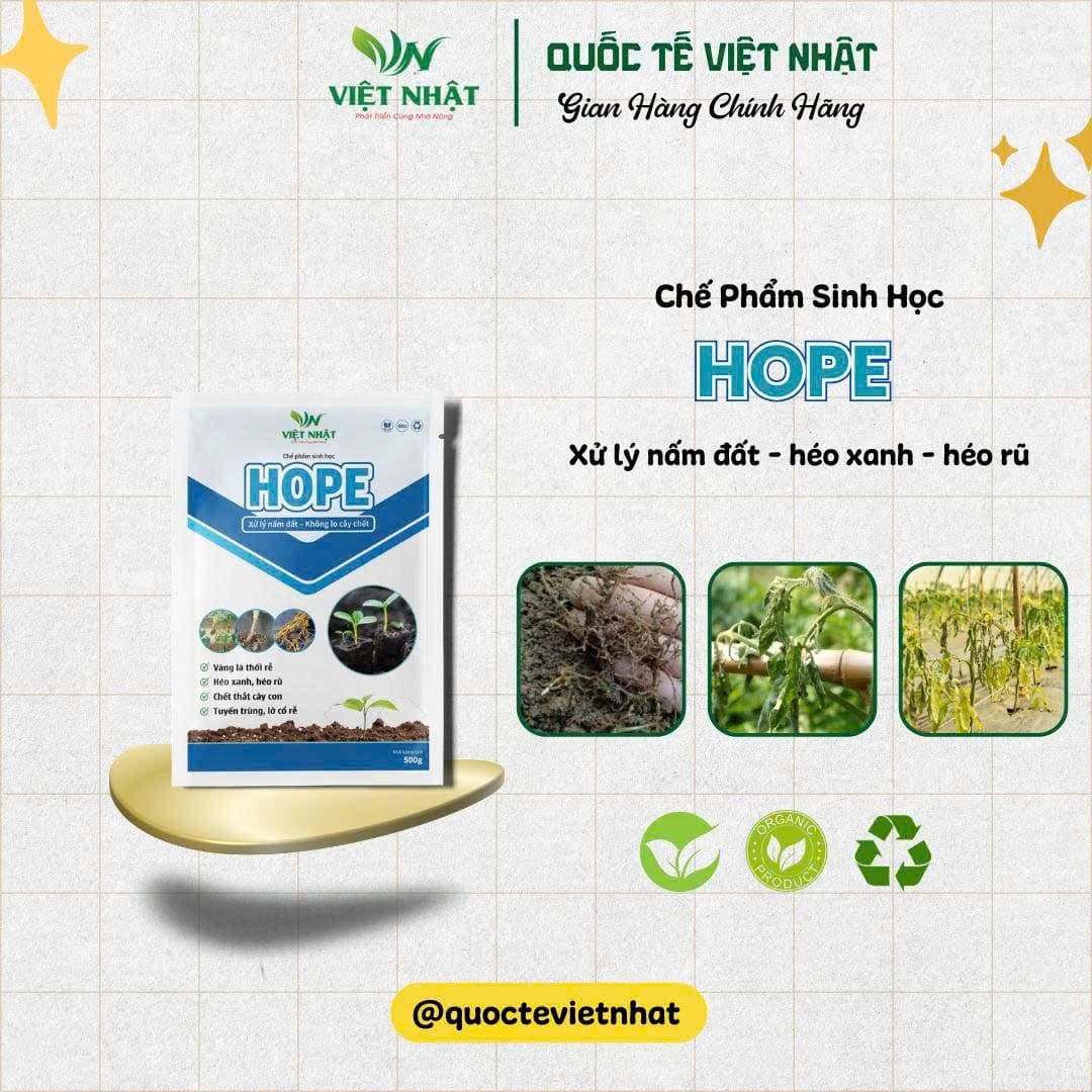 Tiêu diệt các nấm bệnh tồn dư vụ trước, xử lý mầm bệnh có sẵn trong đất, bảo vệ và giúp bộ rễ mập, khỏe.