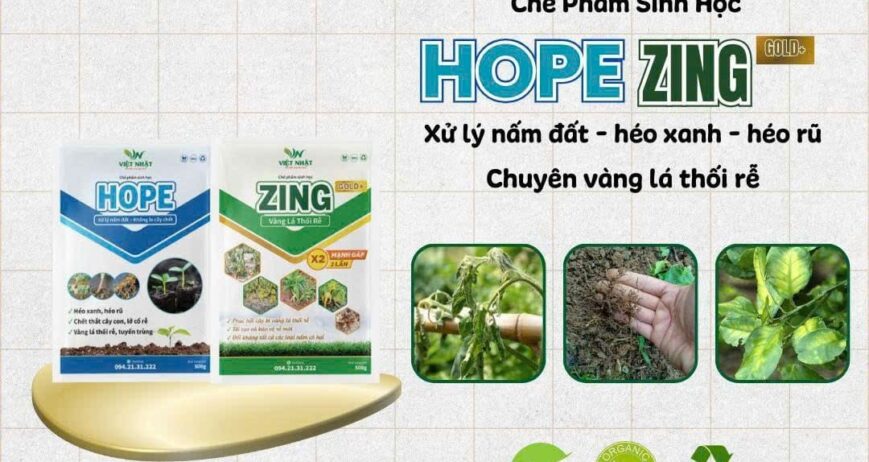 Bộ đôi chế phẩm sinh học mạnh mẽ, chuyên xử lý và tiêu diệt các loại nấm bệnh gây hại trong đất, đồng thời phục hồi rễ, cải tạo đất bạc màu, giúp cây con phát triển khỏe mạnh.