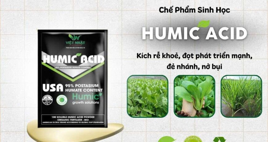 Humic Acid USA nhập khẩu, dạng bột tan hoàn toàn 100%, chuyên dùng để kích ra rễ siêu tốt, giải độc đất, hạ phèn, và cải tạo đất bạc màu.