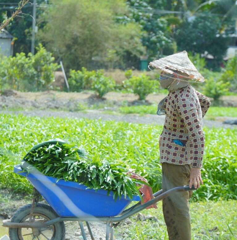 Trang chủ
