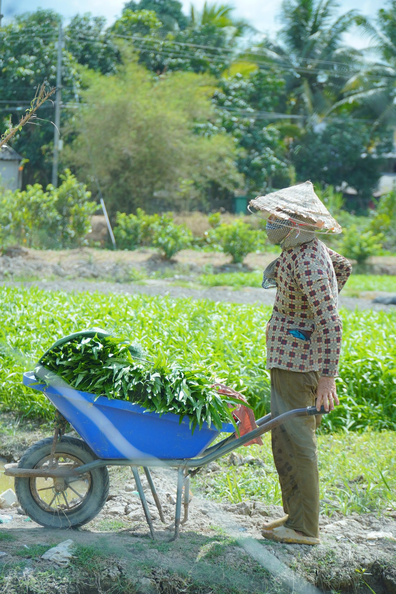 Trang chủ