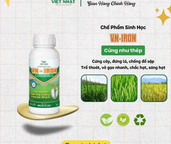 VN -IRON cứng cây, chống đỗ ngã, ra rễ mạnh