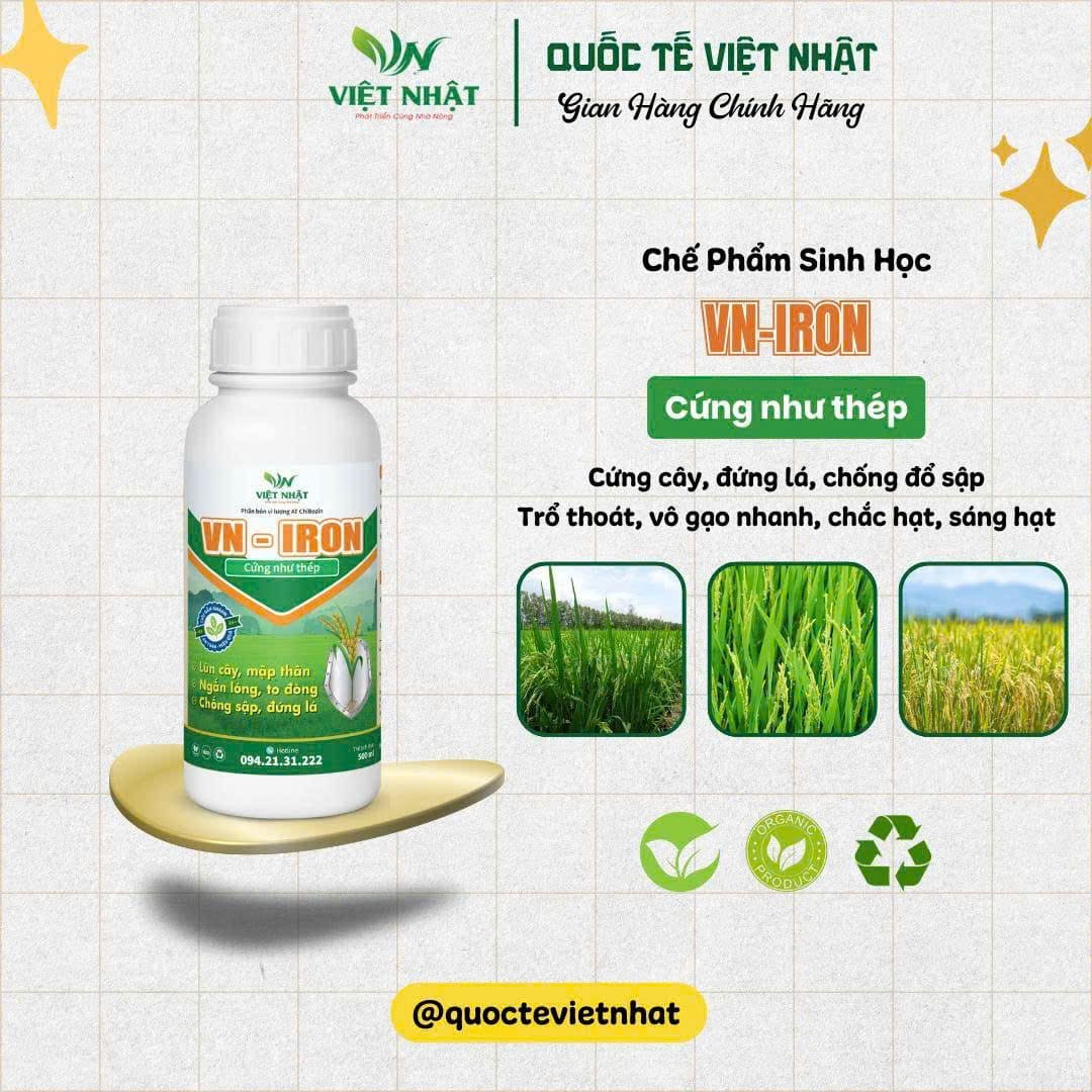 VN -IRON cứng cây, chống đỗ ngã, ra rễ mạnh