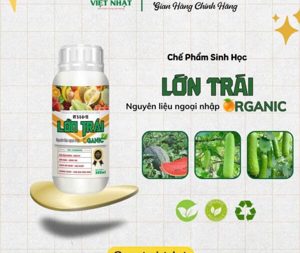Lớn Trái Organic chắc trái, nặng ký, tăng hương vị
