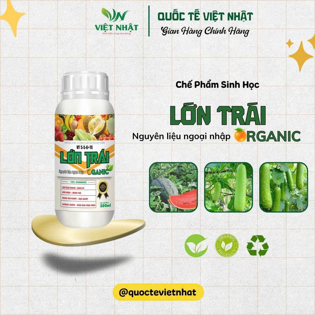 Lớn Trái Organic chắc trái, nặng ký, tăng hương vị