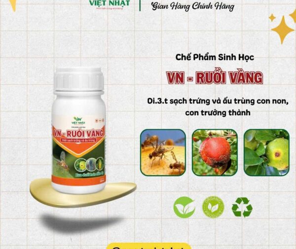 VN – RUỒI VÀNG