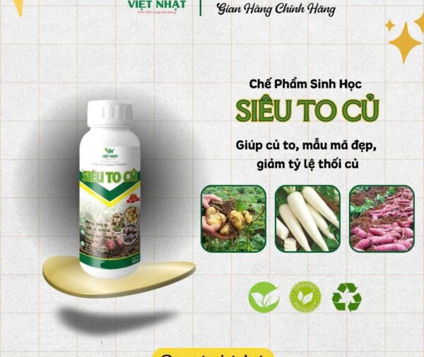 Siêu To Củ