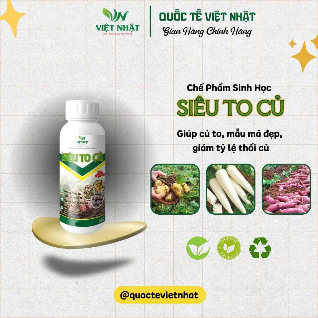 Siêu To Củ