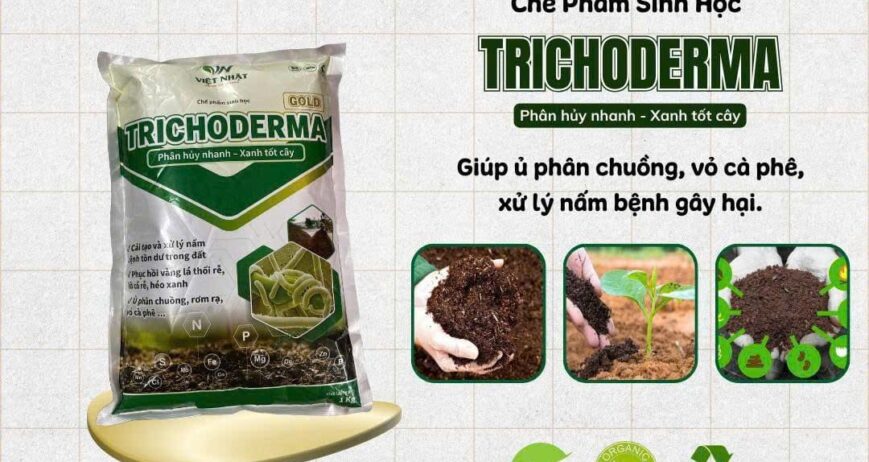Chế phẩm nấm đối kháng Trichoderma, chuyên dùng để ủ phân, xử lý đất, phòng ngừa vàng lá, thối rễ, héo xanh do nấm bệnh gây ra.