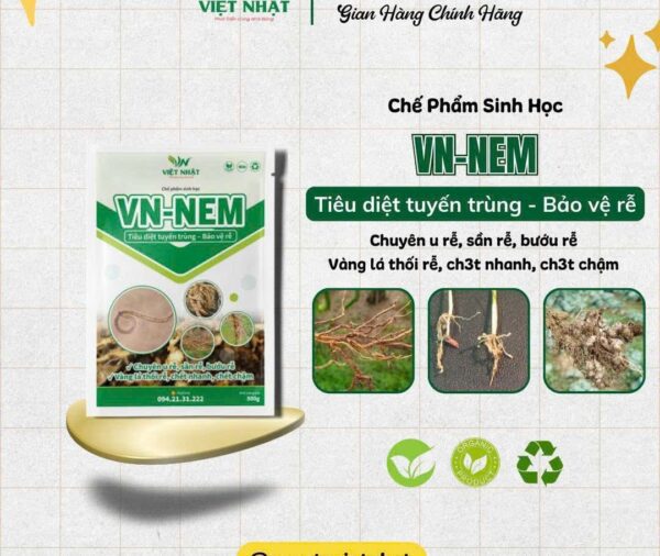 VN – NEM tiêu diệt tuyến trùng rễ