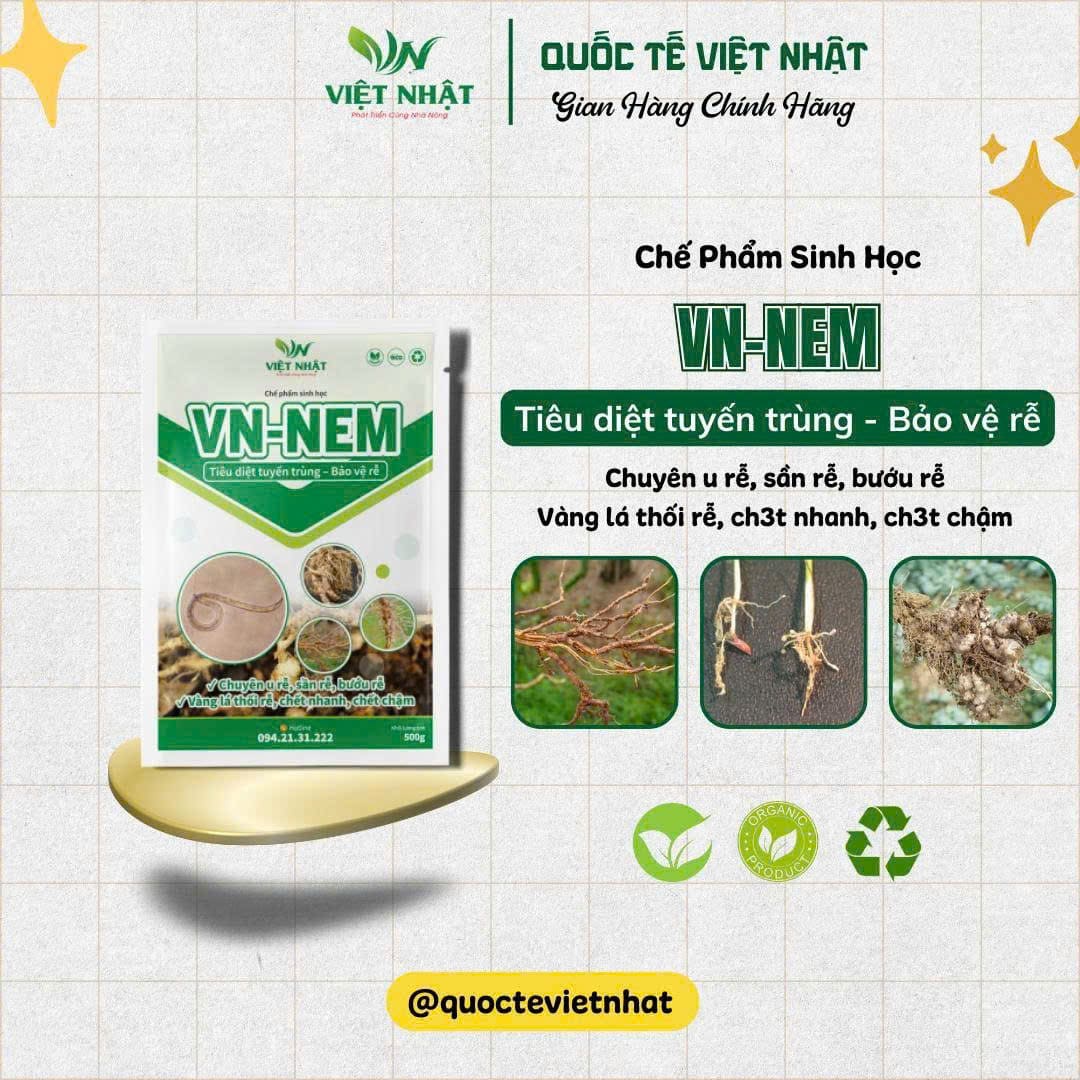 VN – NEM tiêu diệt tuyến trùng rễ