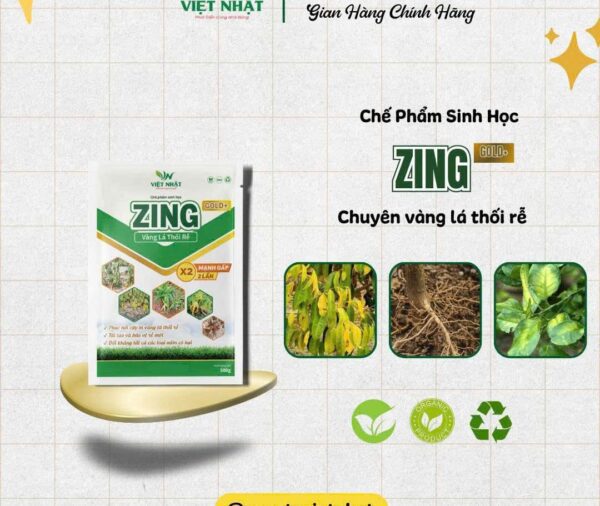 ZING gold + – Vàng lá thối rễ x2 hiệu quả