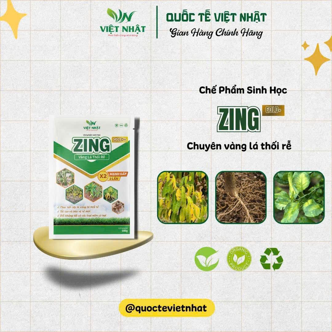 Chế phẩm sinh học chuyên biệt giúp phục hồi cây bị vàng lá thối rễ, lở cổ rễ, đồng thời ức chế mạnh các nấm gây hại nguy hiểm như Phytophthora và Fusarium.