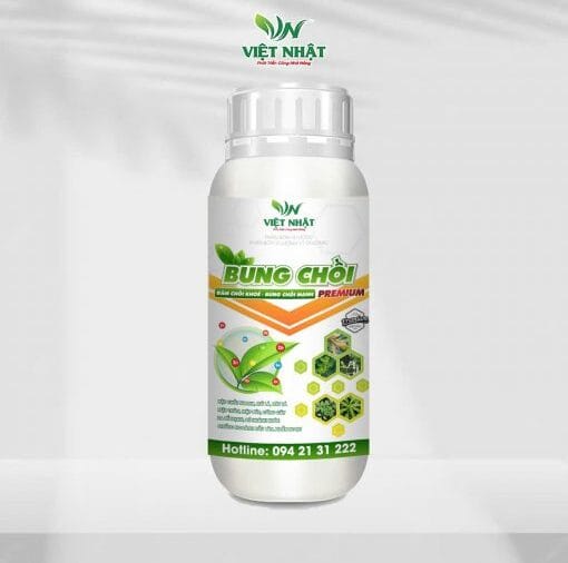 Bung Chồi - bung chồi nhanh, mập chồi, khỏe cây, dày lá, tăng đề kháng dòng dinh dưỡng chồi cao cấp